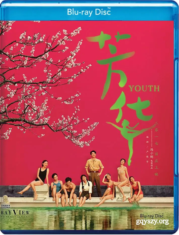 芳华